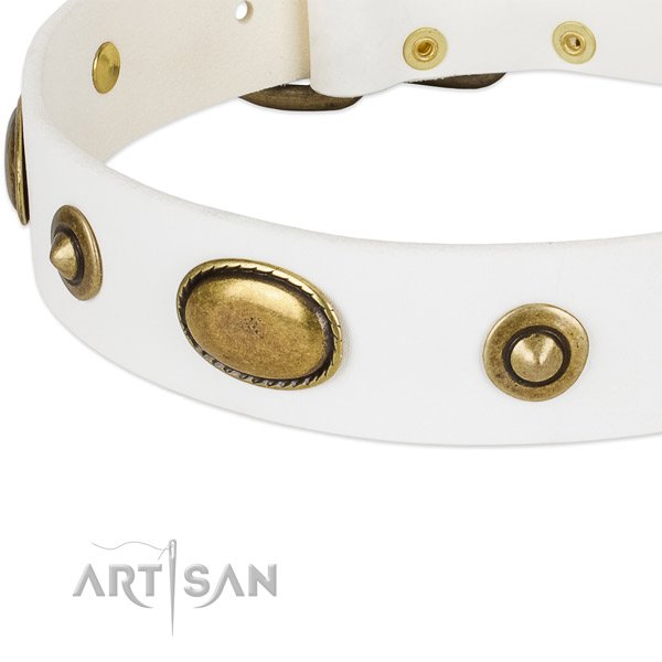 Reliable decorations on full grain natural leather dog collar for your doggie