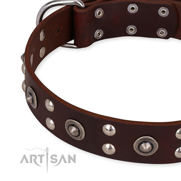 Full grain leather collar with durable buckle for your attractive doggie