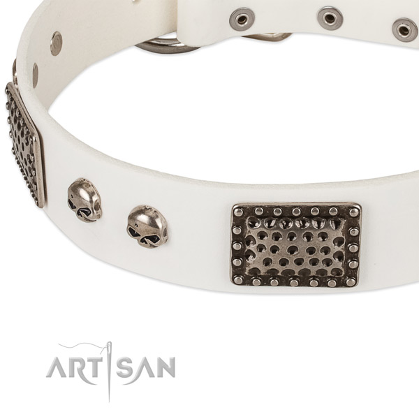 Durable studs on full grain genuine leather dog collar for your four-legged friend