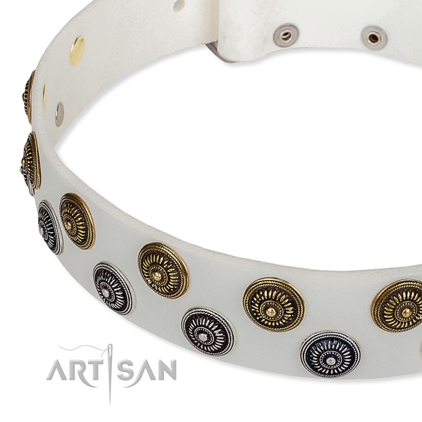 Everyday use studded dog collar of top notch full grain leather
