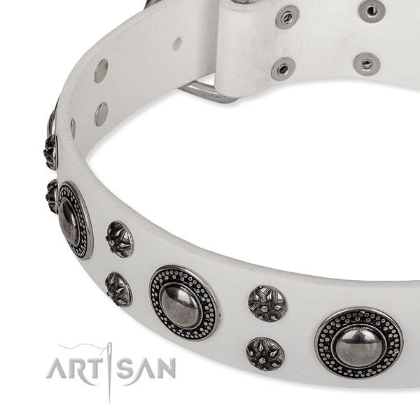 Basic training adorned dog collar of reliable full grain leather