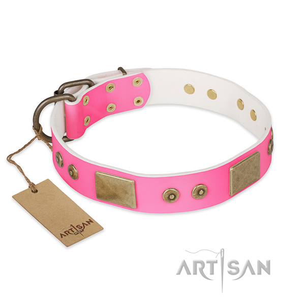 Easy adjustable full grain leather dog collar for walking your canine