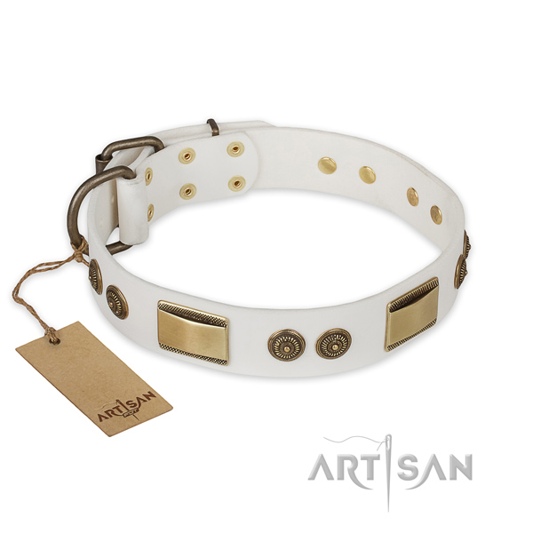 Comfortable leather dog collar for everyday use