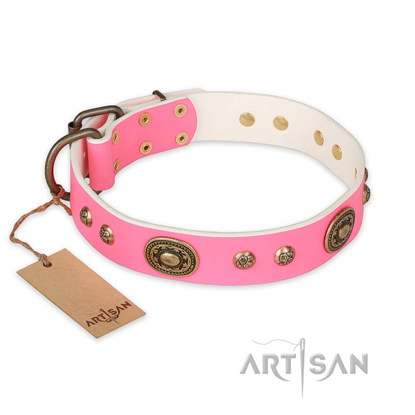 Adorned full grain natural leather dog collar for everyday use