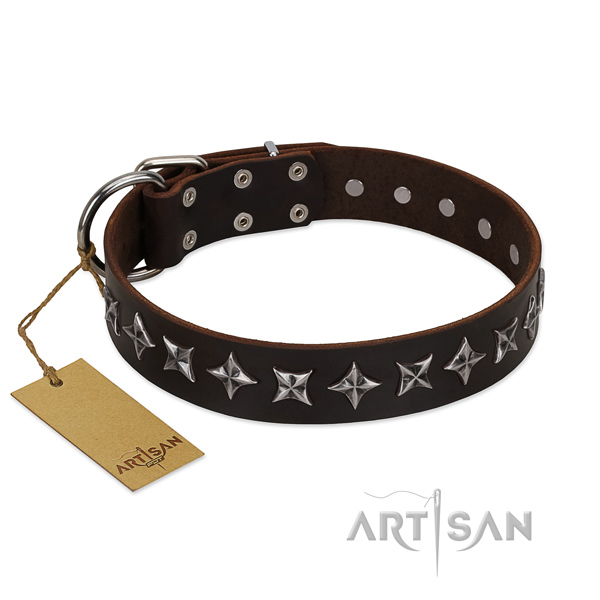 Handy use dog collar of reliable natural leather with adornments