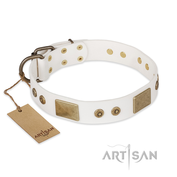 Stylish design leather dog collar for everyday walking
