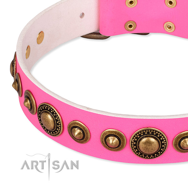 Reliable full grain leather dog collar made for your impressive doggie