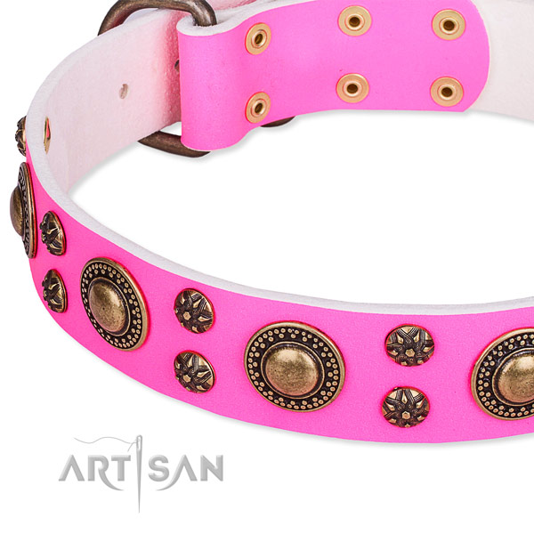 Basic training studded dog collar of reliable full grain natural leather
