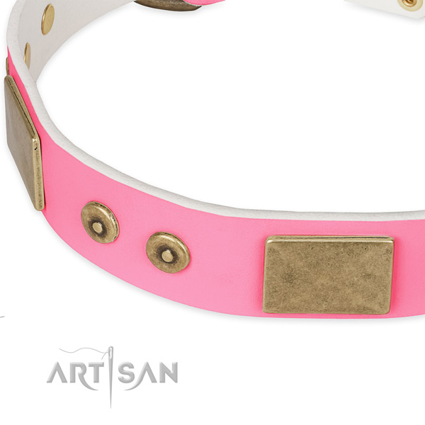 Full grain leather dog collar with adornments for stylish walking