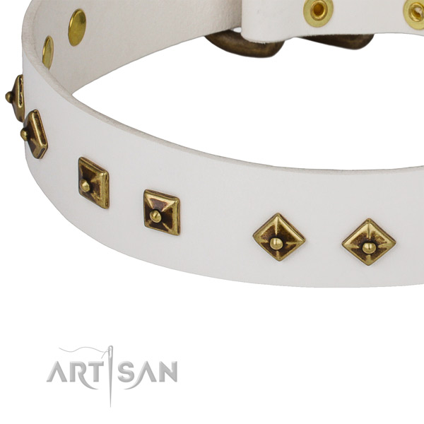 Amazing full grain natural leather collar for your lovely four-legged friend
