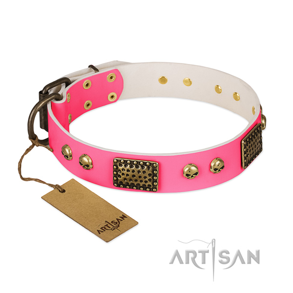 Adjustable genuine leather dog collar for stylish walking your four-legged friend