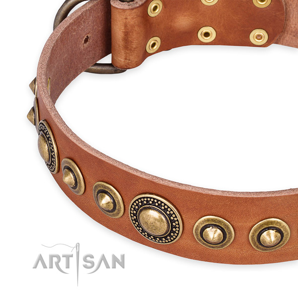 Top rate full grain leather dog collar crafted for your lovely dog