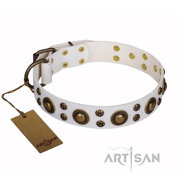 Everyday use dog collar of strong leather with adornments