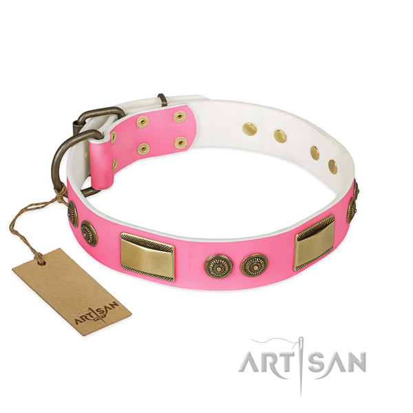 Remarkable full grain genuine leather dog collar for stylish walking