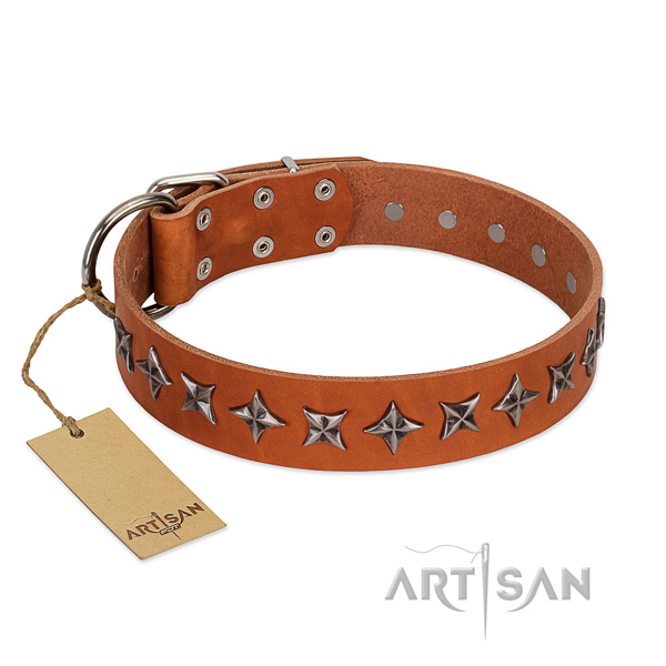 Basic training dog collar of strong full grain genuine leather with adornments