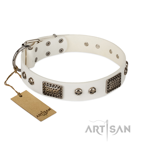 Easy wearing full grain genuine leather dog collar for walking your doggie