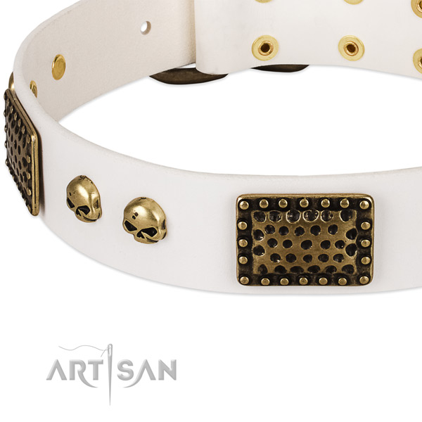 Corrosion resistant D-ring on genuine leather dog collar for your pet