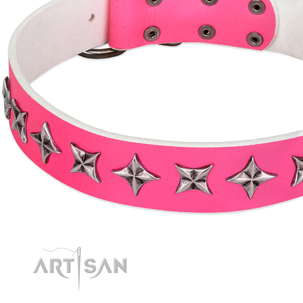Everyday walking adorned dog collar of high quality natural leather