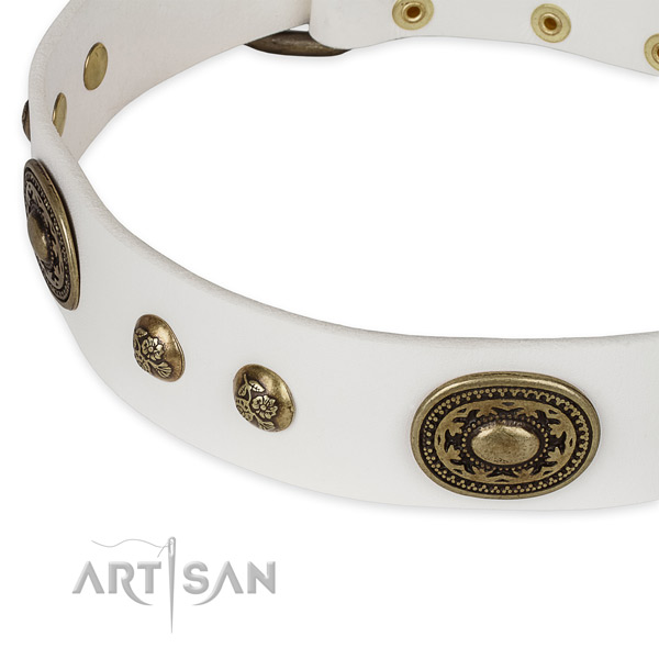 Stunning full grain genuine leather collar for your attractive pet