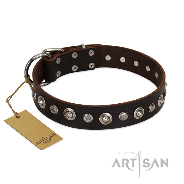 Top notch full grain leather dog collar with significant decorations