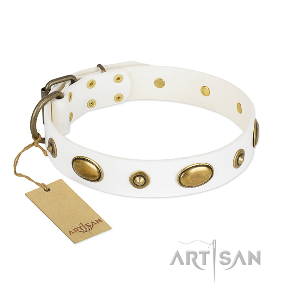 Fashionable leather collar for your four-legged friend