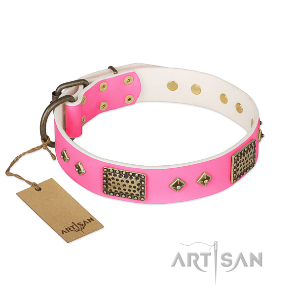 Easy to adjust leather dog collar for daily walking your pet