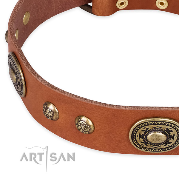 Perfect fit leather collar for your handsome four-legged friend