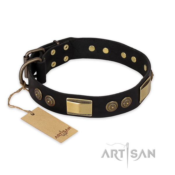 Embellished genuine leather dog collar for everyday use