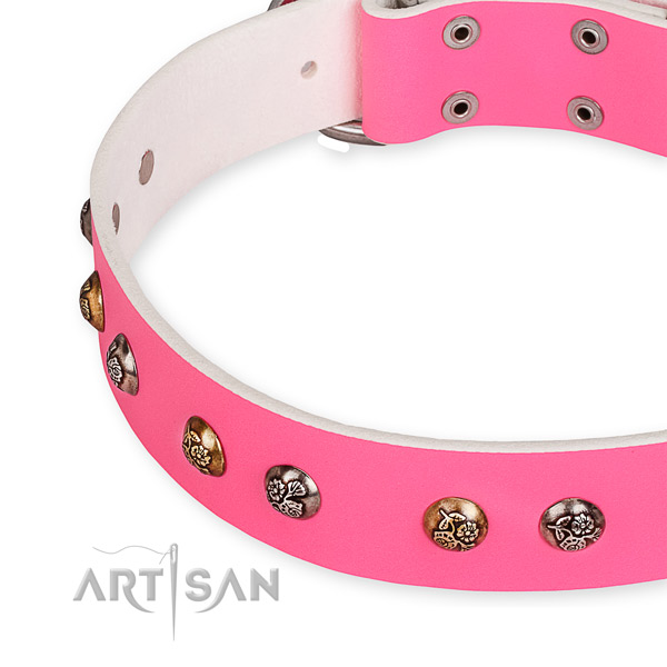 Leather dog collar with unusual reliable decorations