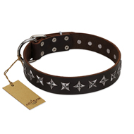 "Stars of Glory" FDT Artisan Brown Leather Central Asian Shepherd Collar for Comfortable Walking