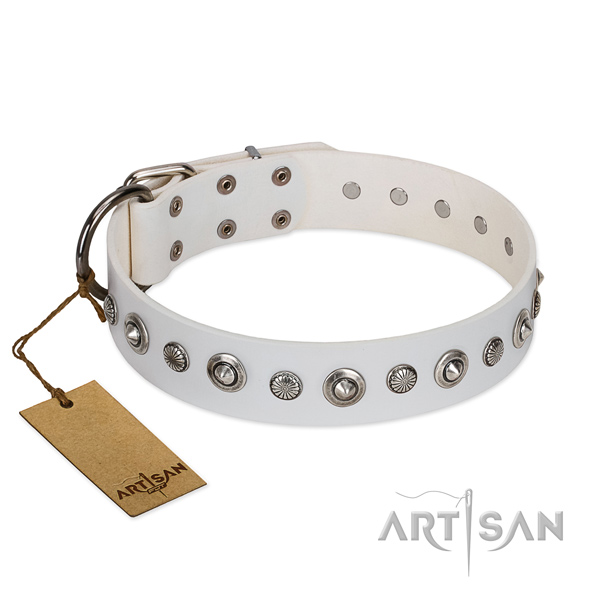 High quality full grain leather dog collar with unique adornments