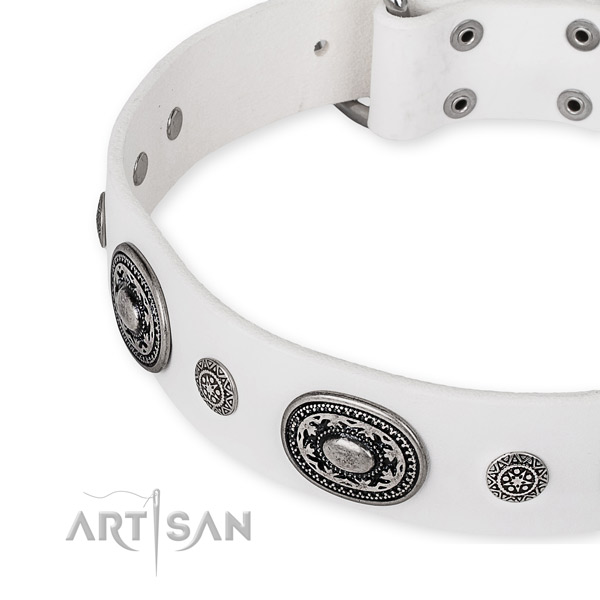 Durable natural genuine leather dog collar handcrafted for your attractive four-legged friend