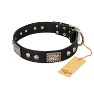 "Pirates Gold" FDT Artisan Black Leather Central Asian Shepherd Collar with Old Silver Look Plates and Skulls