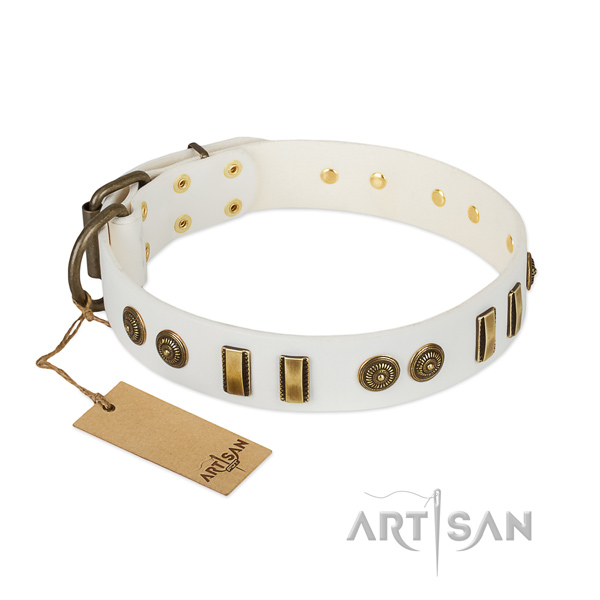 Reliable embellishments on full grain leather dog collar for your four-legged friend