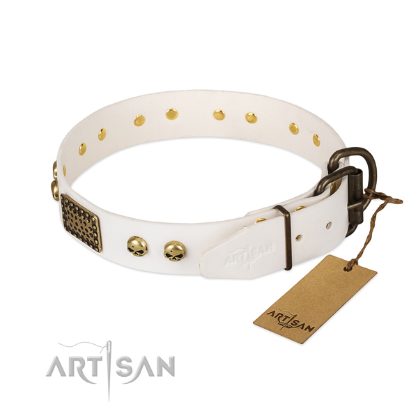 Easy wearing full grain natural leather dog collar for basic training your four-legged friend