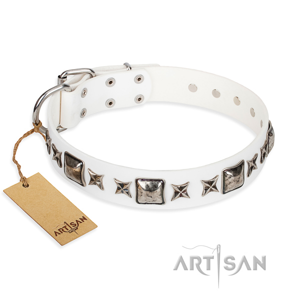 Walking dog collar of fine quality genuine leather with decorations
