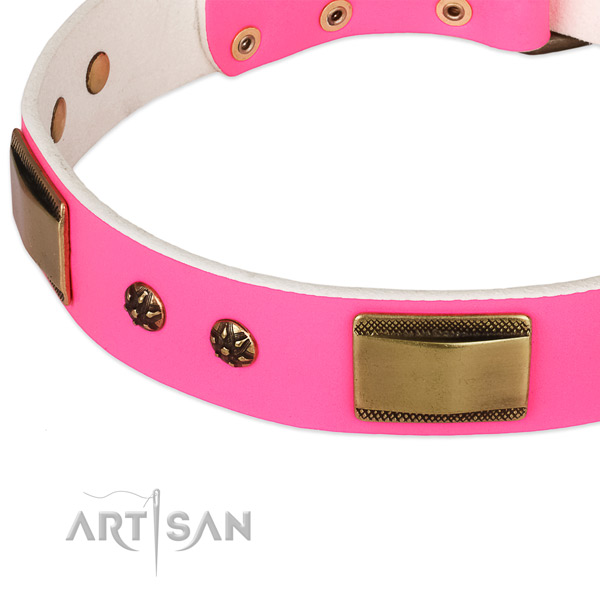 Durable studs on genuine leather dog collar for your doggie
