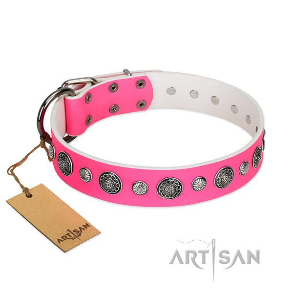 Quality genuine leather dog collar with corrosion resistant D-ring