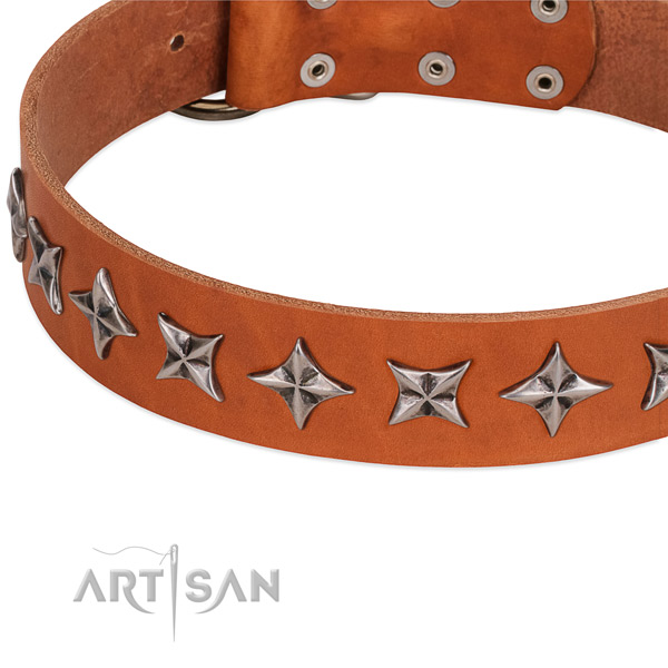Comfortable wearing decorated dog collar of quality full grain genuine leather