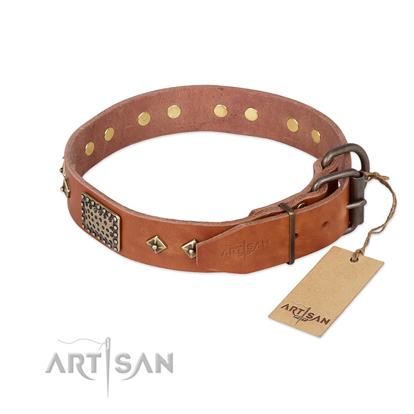 Leather dog collar with reliable traditional buckle and decorations