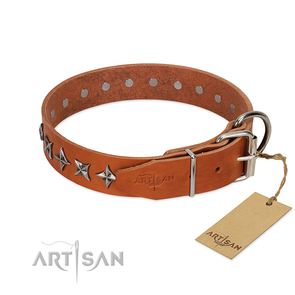 Fancy walking adorned dog collar of high quality full grain genuine leather