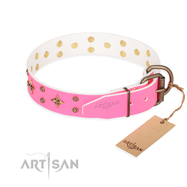 Handy use embellished dog collar of quality natural leather
