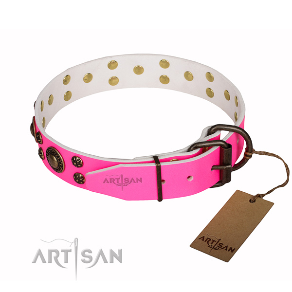 Daily use embellished dog collar of strong natural leather