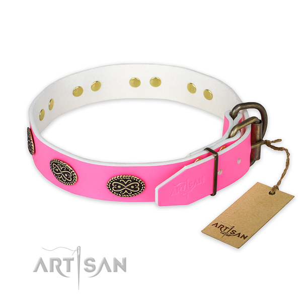 Strong decorations on stylish walking dog collar