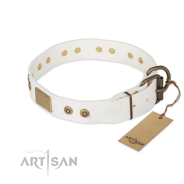 Corrosion proof D-ring on leather collar for stylish walking your pet