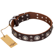 "Age of Beauty" FDT Artisan Incredible Studded Brown Leather Central Asian Shepherd Collar