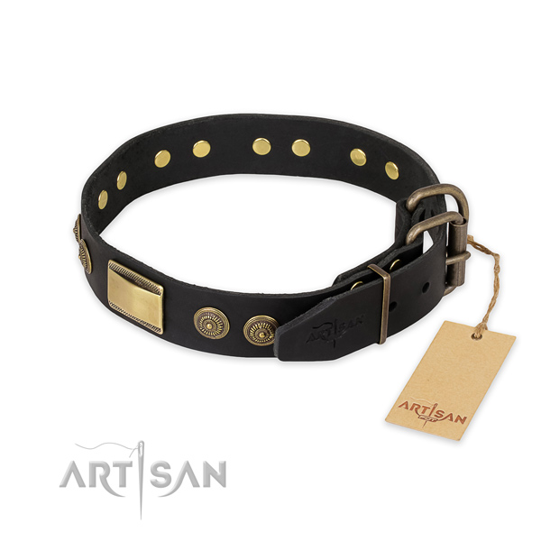 Strong fittings on full grain genuine leather collar for stylish walking your pet