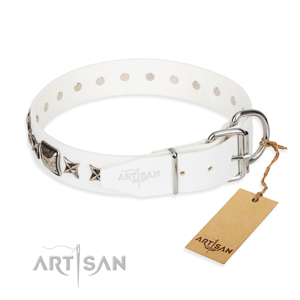 Reliable studded dog collar of leather
