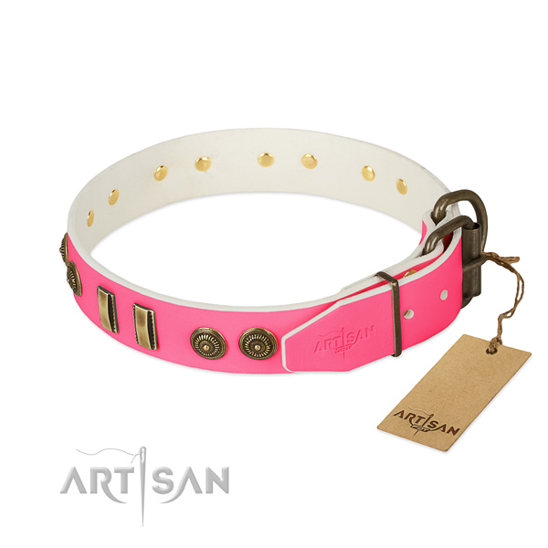 Rust resistant embellishments on leather dog collar for your dog