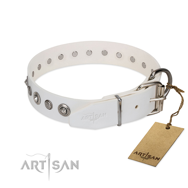 Finest quality leather dog collar with inimitable adornments